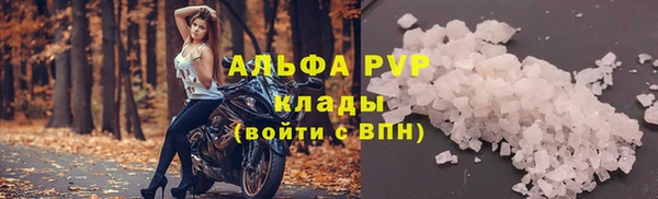 стафф Алзамай