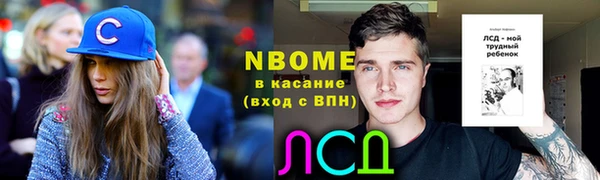 стафф Алзамай