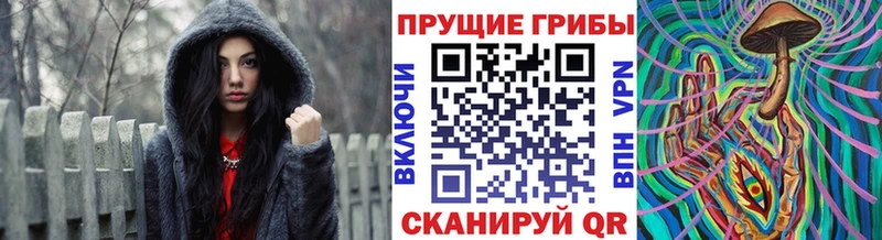 Псилоцибиновые грибы мухоморы  Купить закладки  Майкоп 